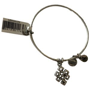 Alex & Ani Endless Knot EWB Bangle Bracelet NWT